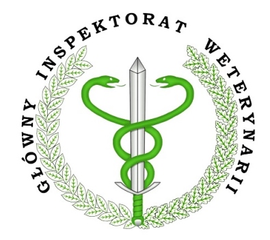 zdjęcie świnek