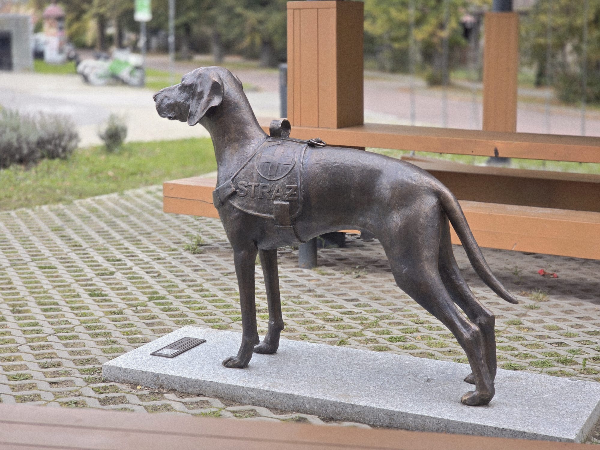 Grupa Poszukiwawczo-Ratownicza OSP