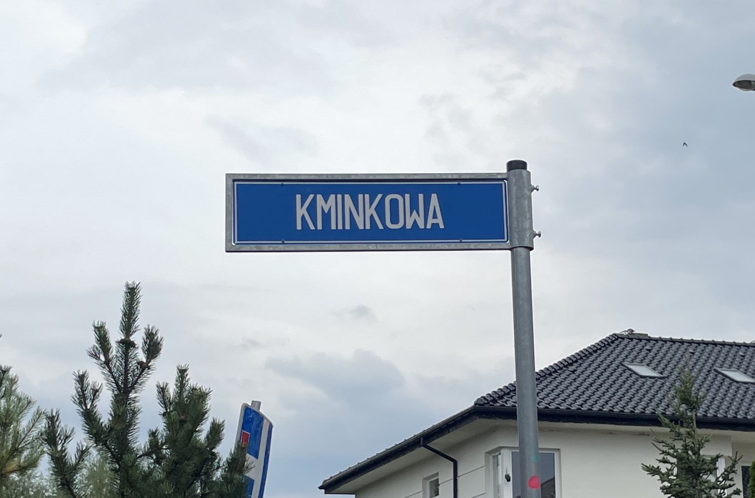 Organizacja ruchu za Stokrotką - 7 etap