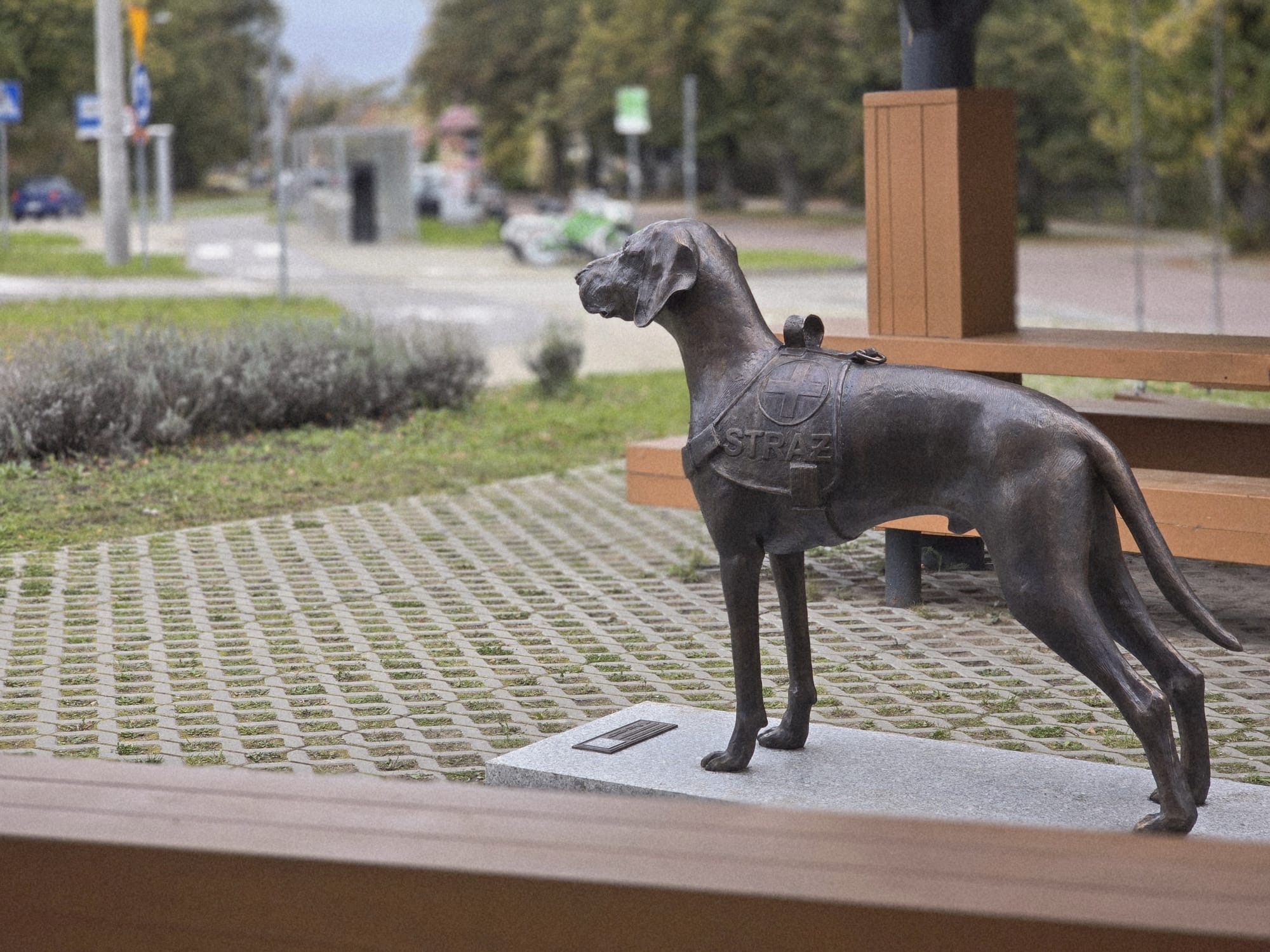 Profilaktyka zaginięć seniorów – kolejny film Gminy Dobra i Grupy Poszukiwawczo-Ratowniczej OSP Wołczkowo