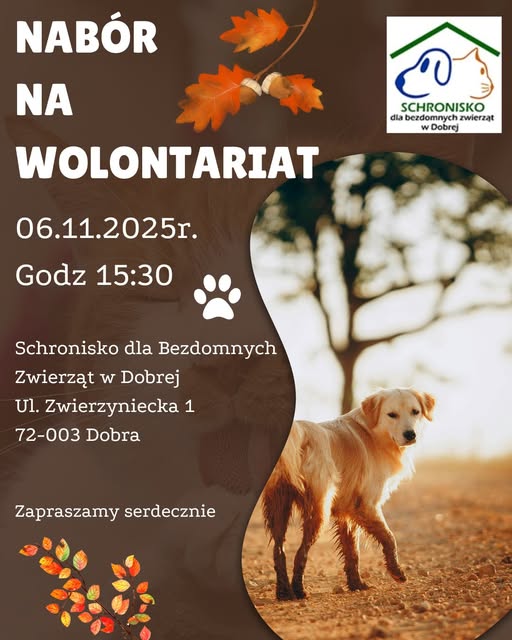 Rusza nabór na wolontariat w Schronisku dla bezdomnych zwierząt w Dobrej