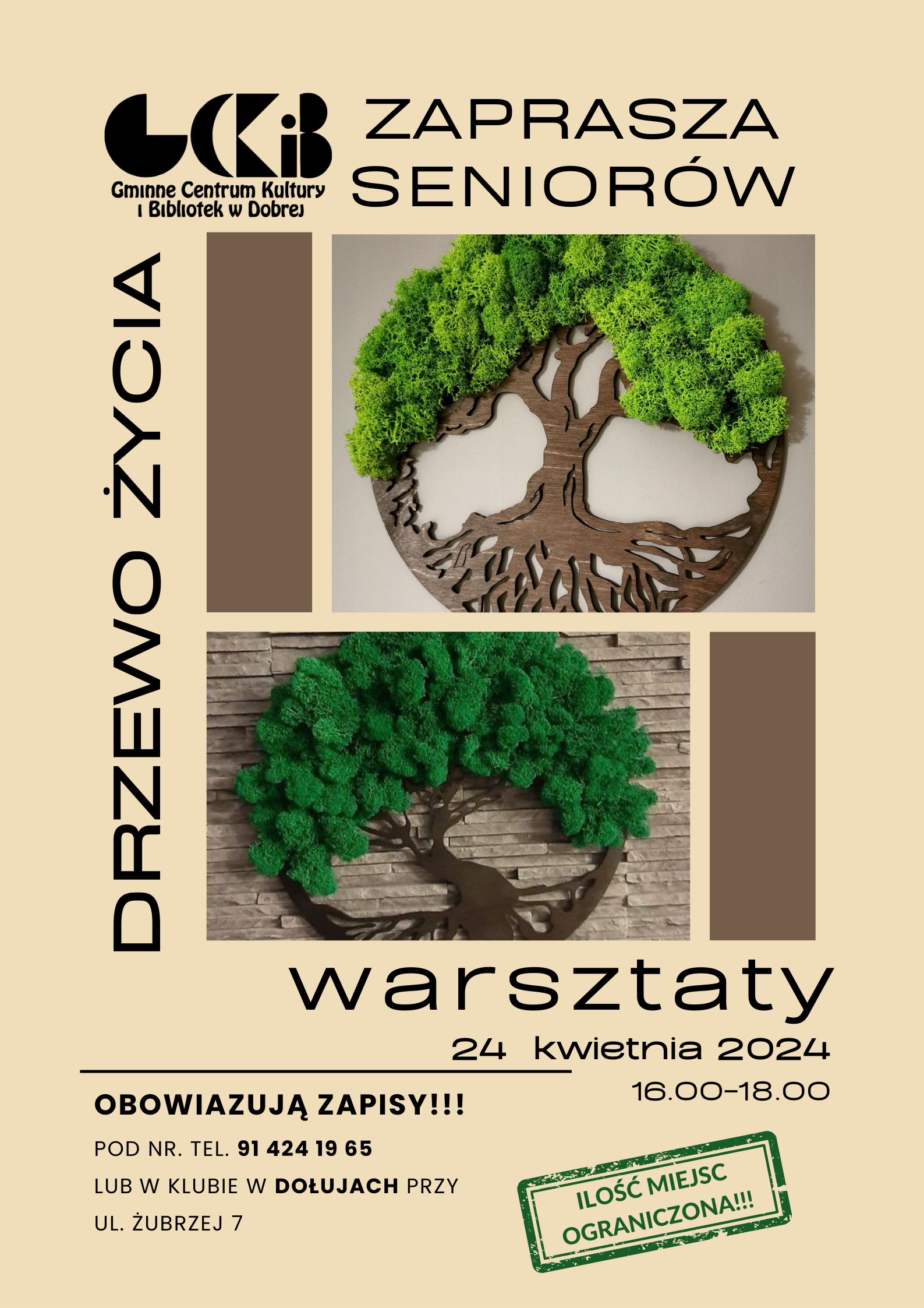 Warsztaty dla seniorów "Drzewo życia"