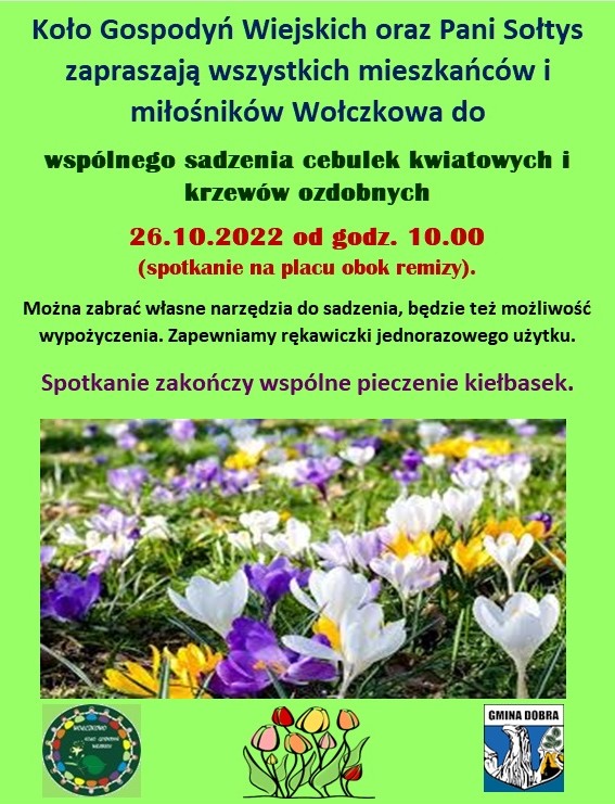 sadzenie cebulek kwiatowych