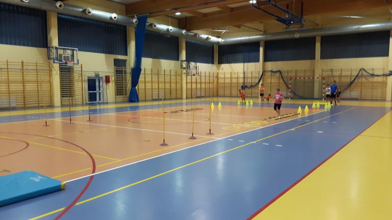Zajęcia sportowe PSP Mierzyn piłka ręczna