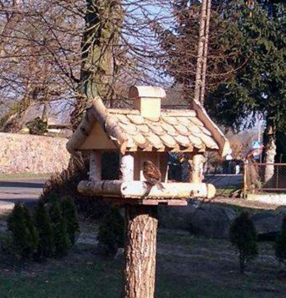 Ptasia zima w filii GCKiB w Stolcu