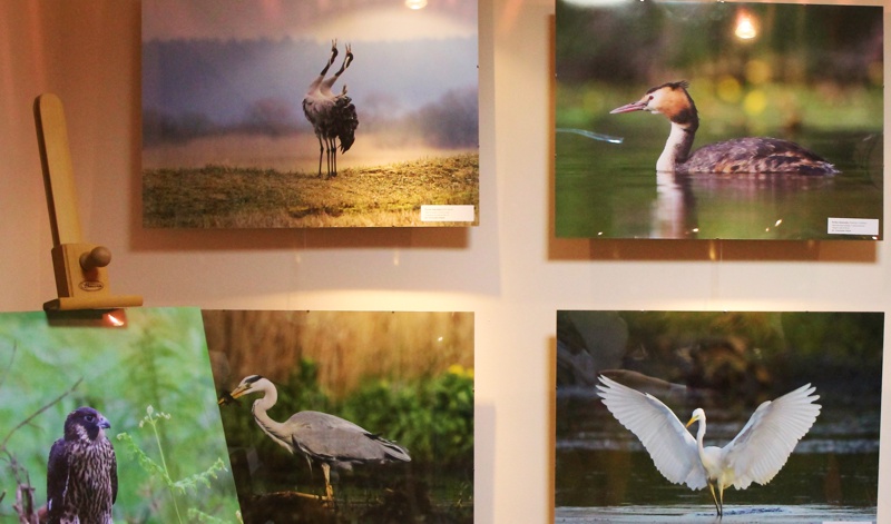 Koncert „Świdwie Sanctus – natura i człowiek w dźwięku i obrazie” oraz wystawa fotograficzna „Fauna Gminy Dobra i okolic w obiektywie Przemka Wójcika”