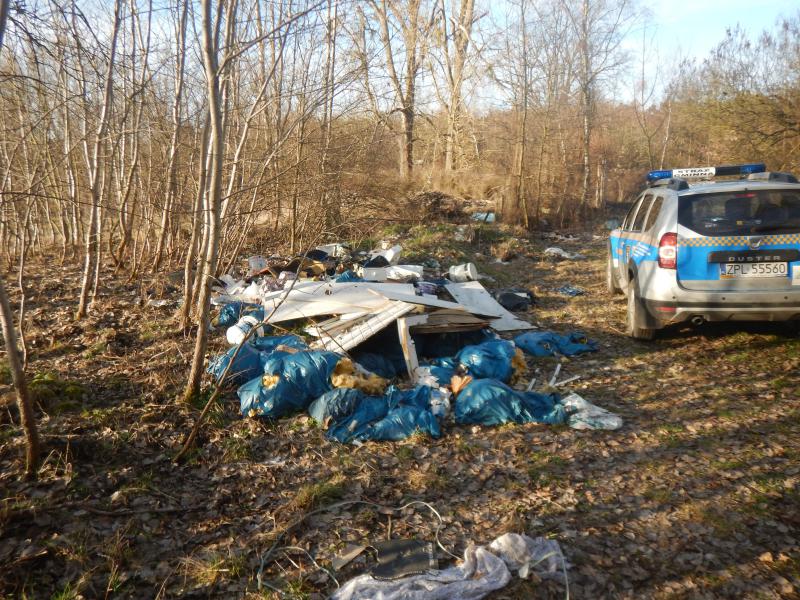 Postępowanie po ujawnieniu dzikich wysypisk śmieci