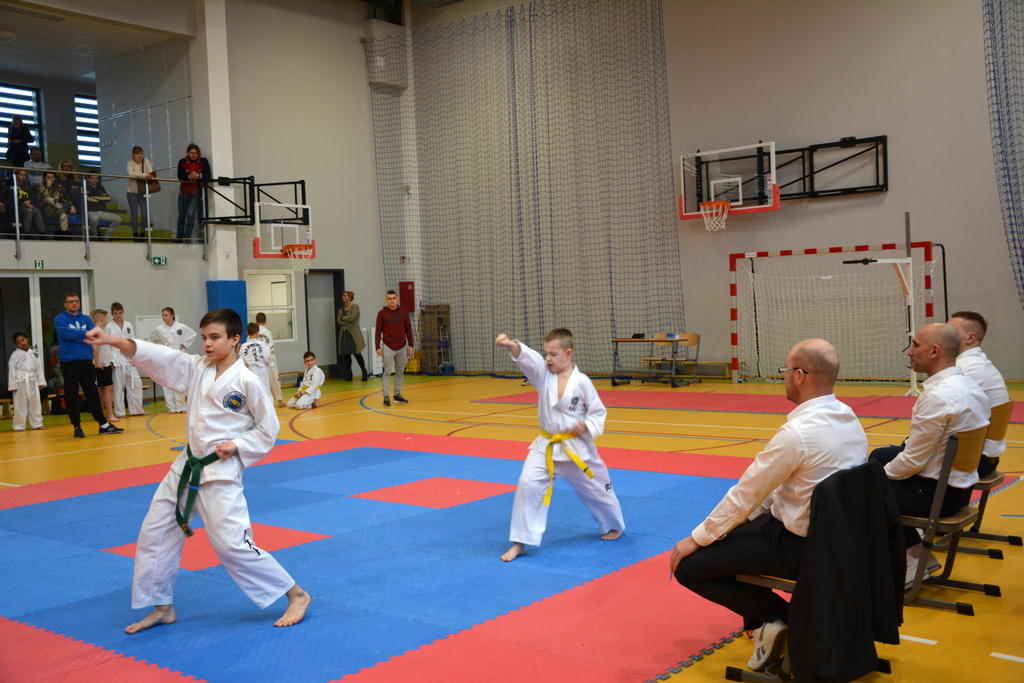 Mistrzostwa Województwa w Taekwon-do