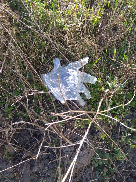 Apel Komendanta Straży Gminnej w Dobrej do mieszkańców