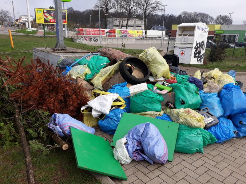 Światowy Dzień Ziemi