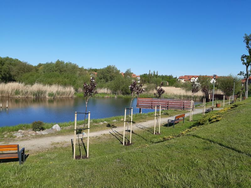 Nowe nasadzenia na „Mierzyniance”