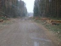 Ułożenie płyt drogowych na ul. Dereszowej w Dobrej