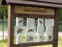 Doposażenie schroniska dla zwierząt w Dobrej