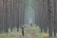 Inwentaryzacja dzików w gminie Dobra