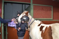 FOTORELACJA Z DRUGIEGO TYGODNIA „PÓŁKOLONII W SZKOLE”