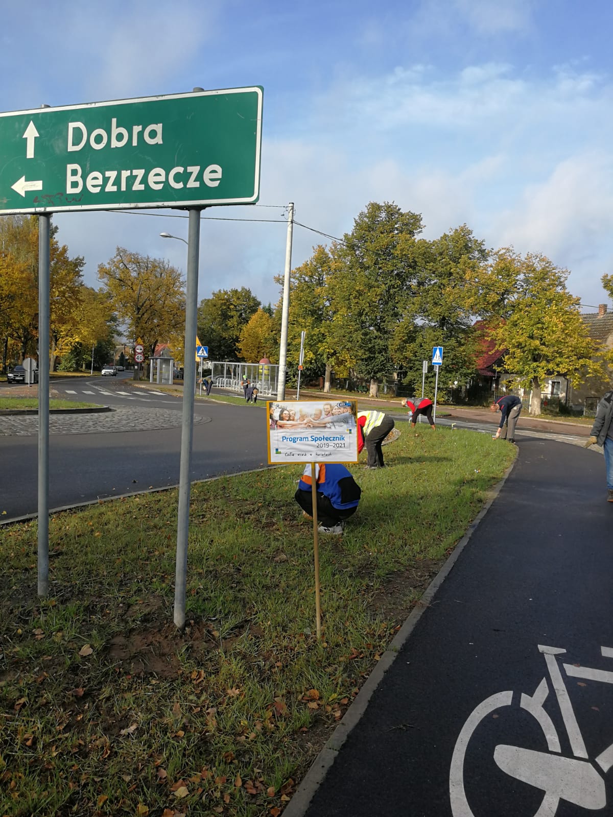 Kradzież krzewów lawendy w Wołczkowie