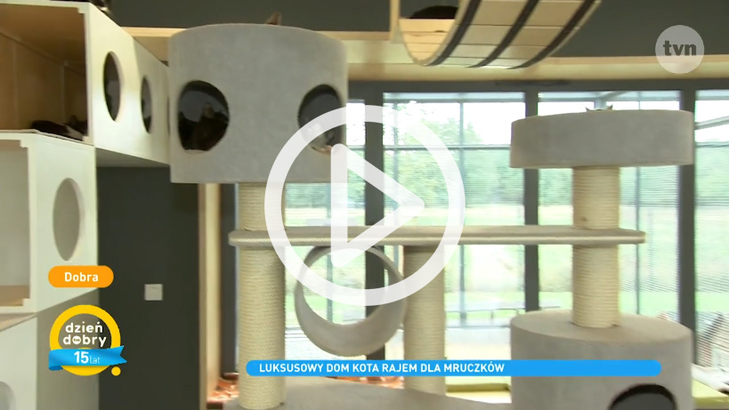 Dzień Dobry TVN w Domu Kota