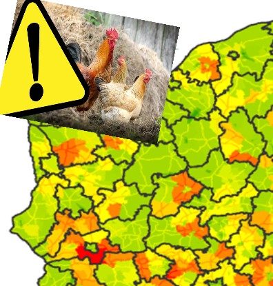 Przypominamy o obowiązku utrzymywania drobiu w zamknięciu i zgłaszanie podejrzenia grypy ptaków